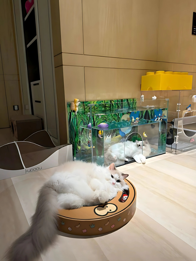 Front Entrance Cat Aquarium Product Image 4